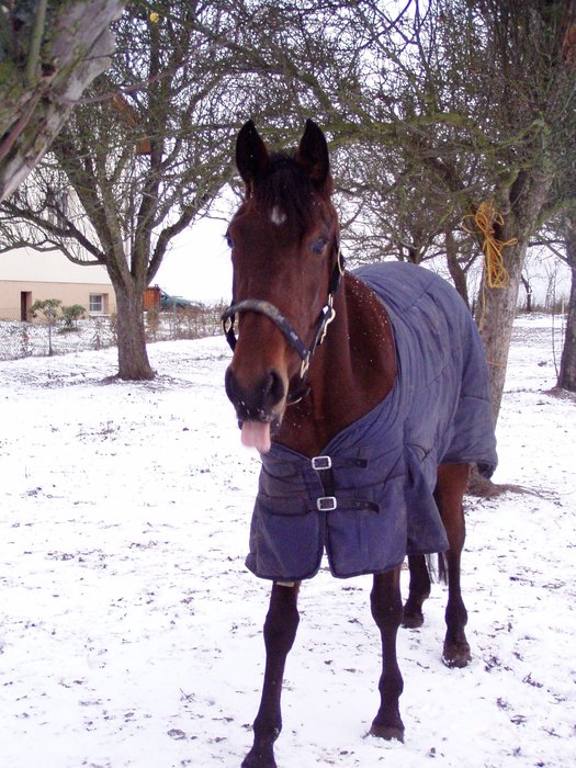 renča chce pusinku.JPG