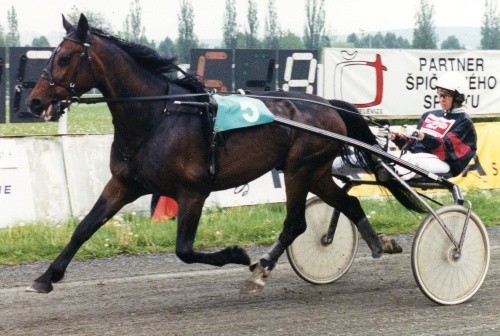 Racer