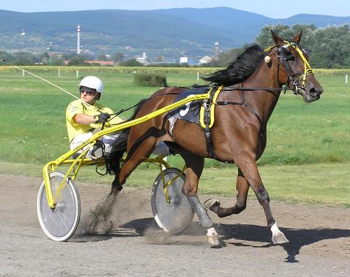 I Can Fly Diamant