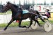 Racer